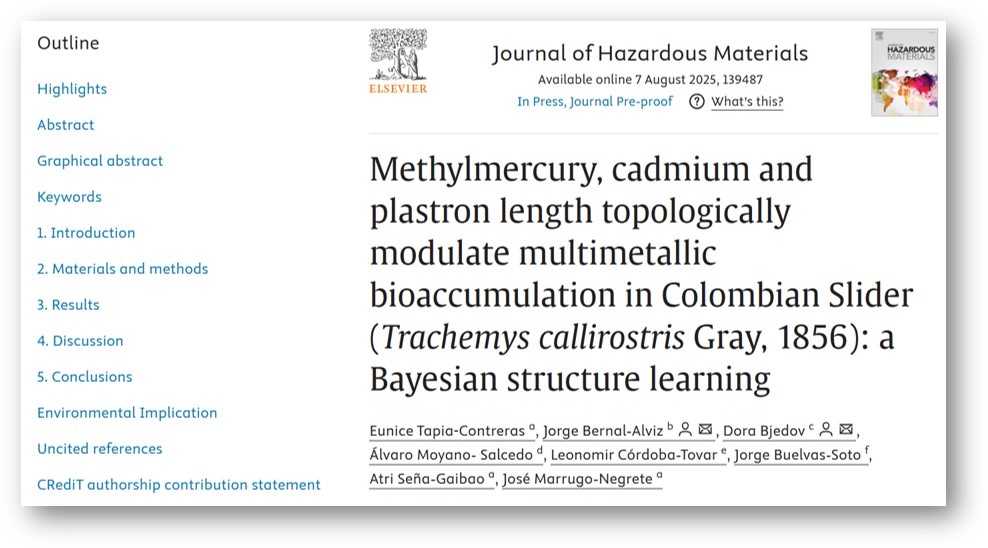 WhatsApp Image 2025 08 08 at 41731 PM