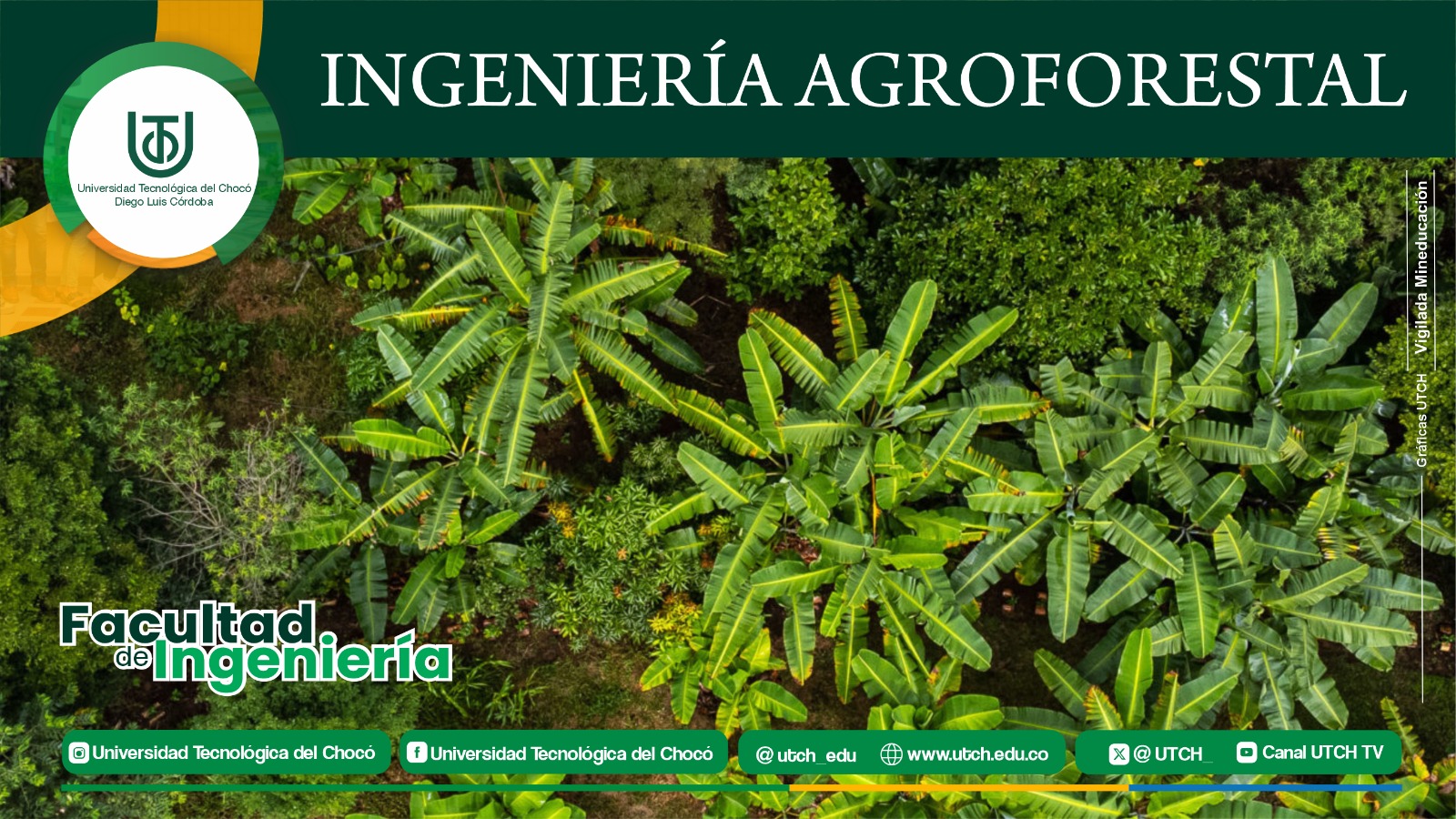 Ingenieria Agroforestal