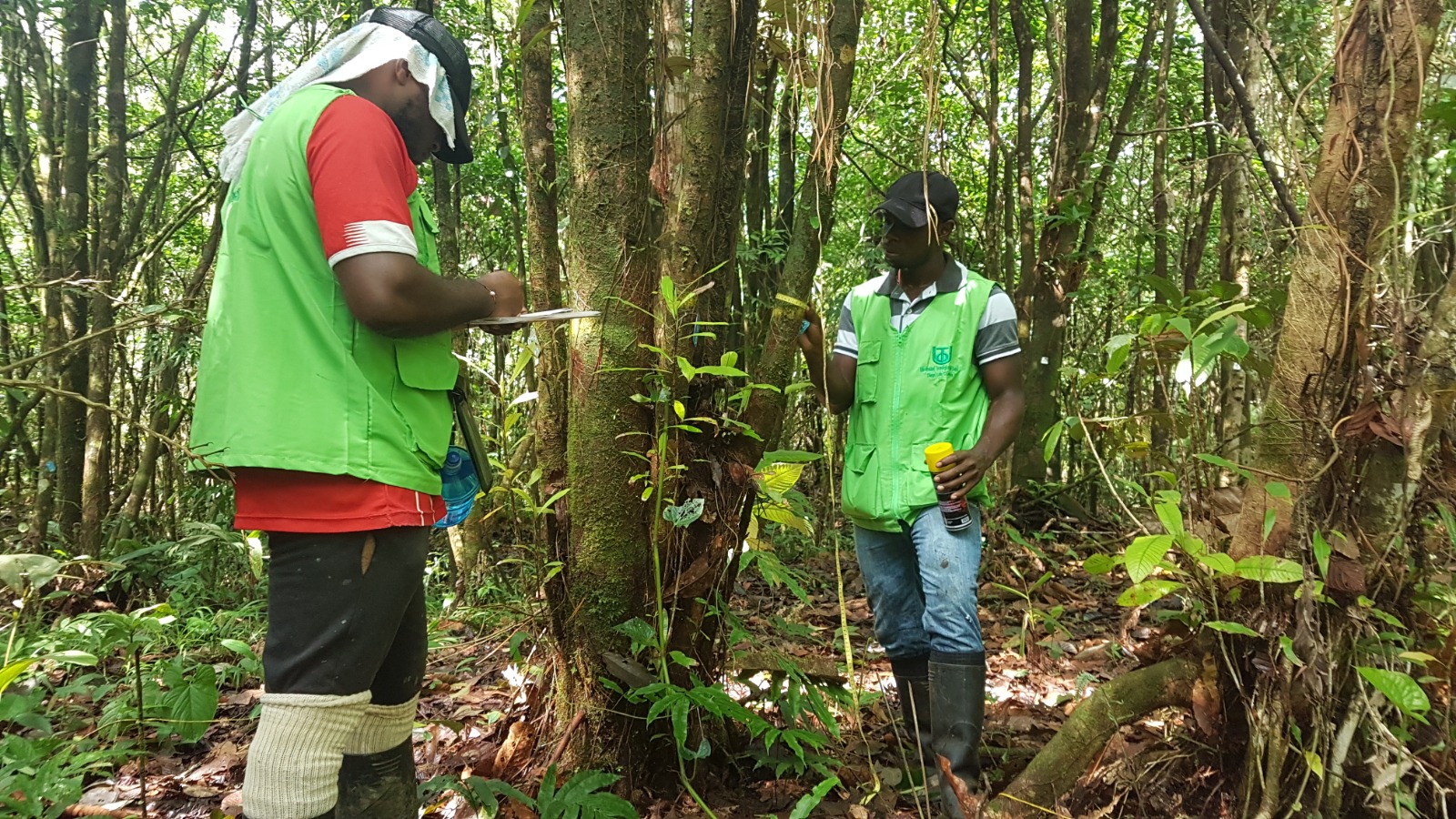 Imagen de WhatsApp 2024 07 16 a las 11.06.17 371bd27d