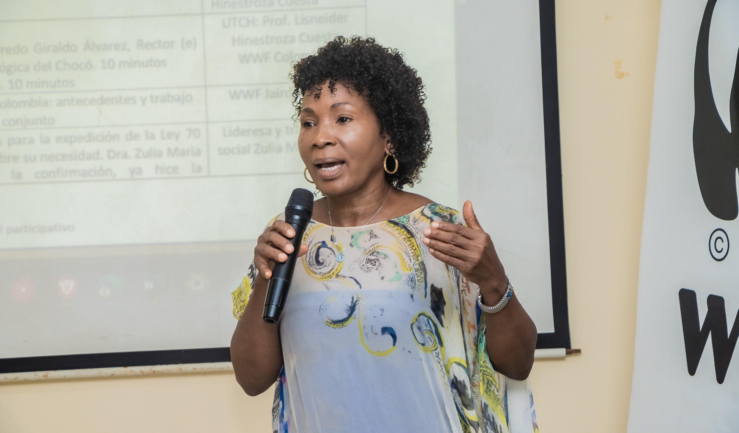 Imagen de WhatsApp 2025 04 03 a las 20.53.05 4f055b16