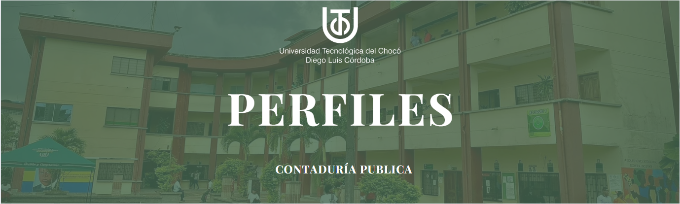perfiles contaduria